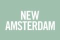 New Amsterdam 2 x 05 "The Karman Line" Recensione