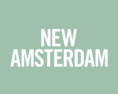 First Look stagione 3 New Amsterdam