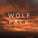 Wolf Pack 1 x 05 “Incendiary” Recensione