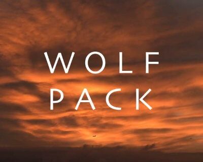 Wolf Pack 1 x 01 “From a Spark to a Flame” Recensione